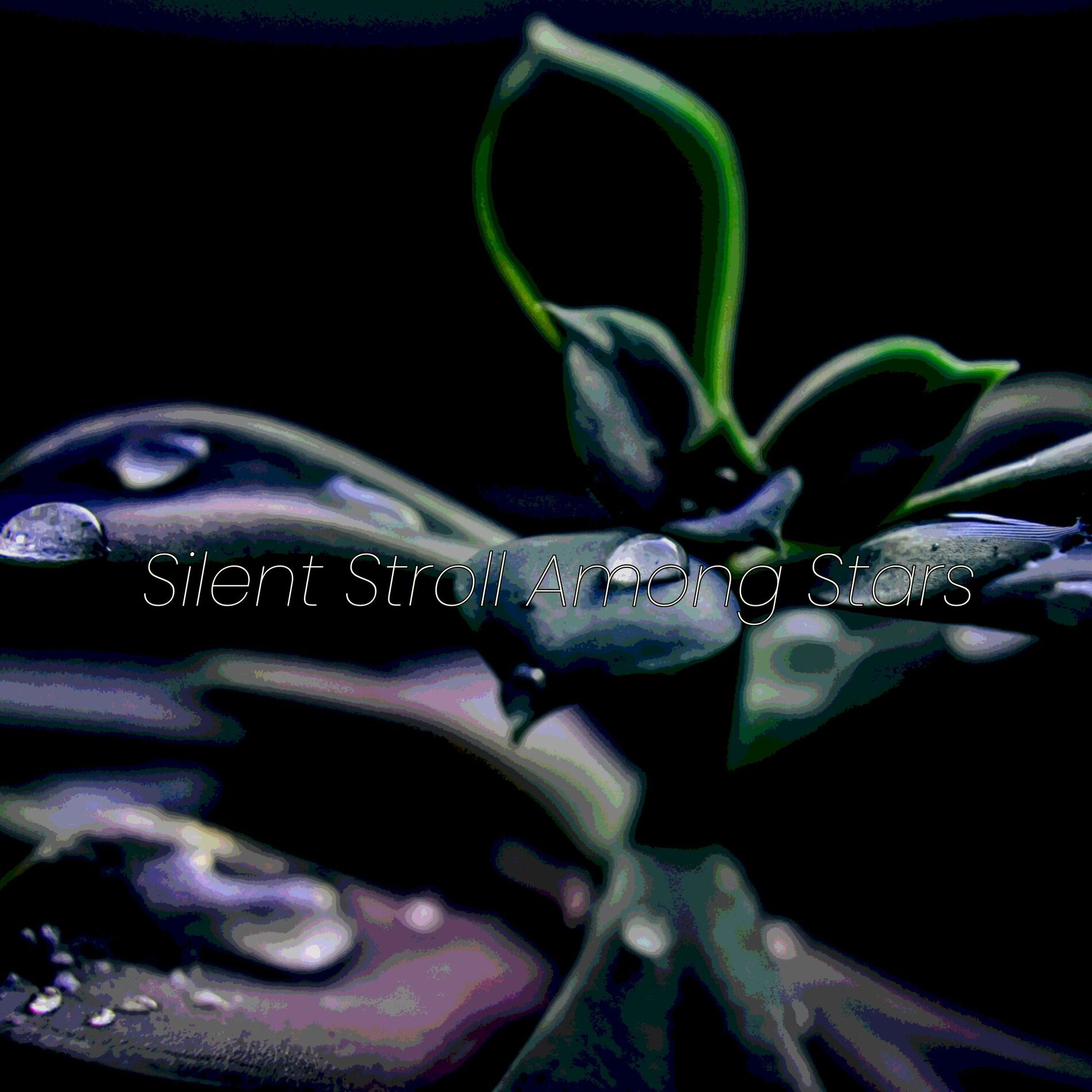Album cover of Silent Stroll Among Stars