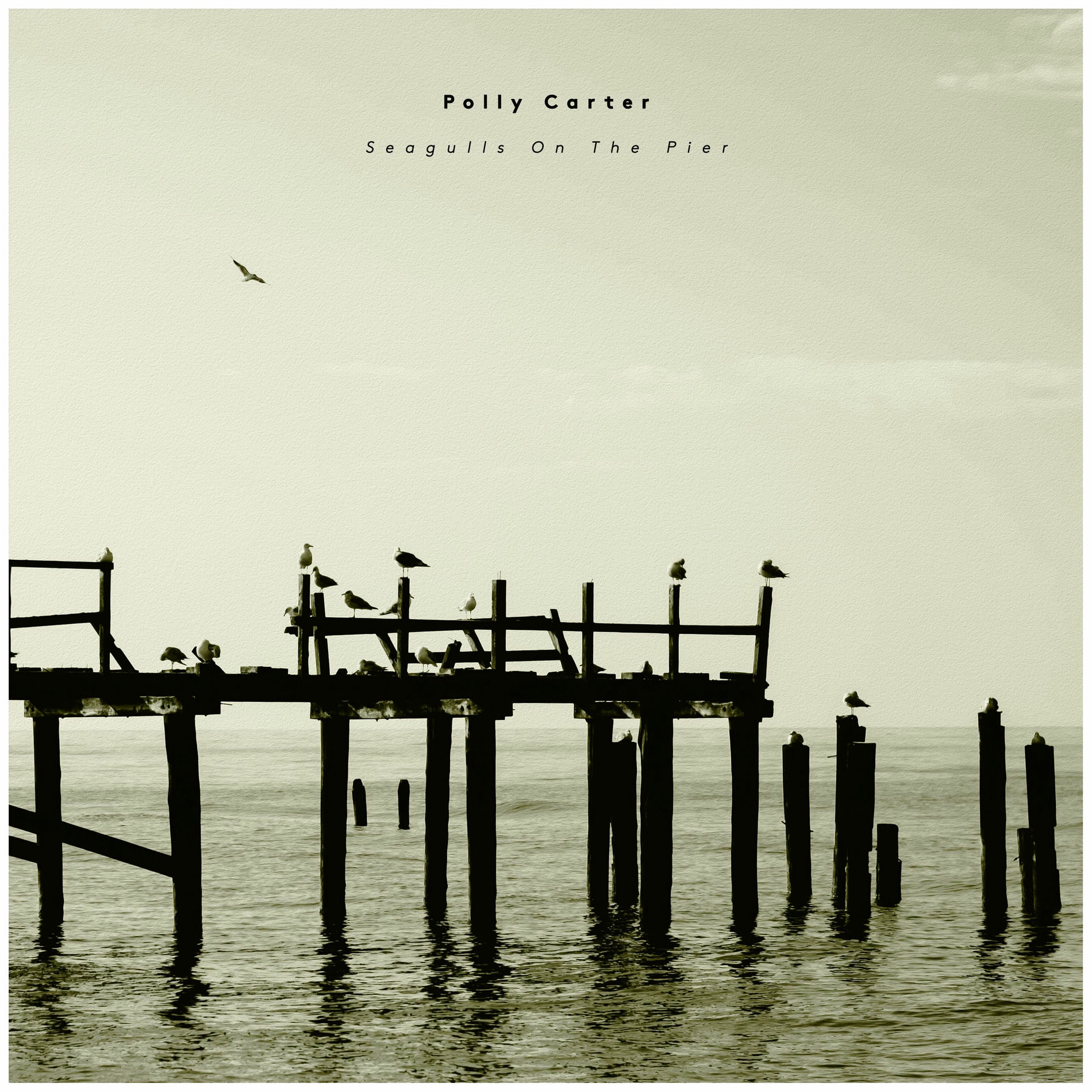 Album cover of Seagulls On The Pier