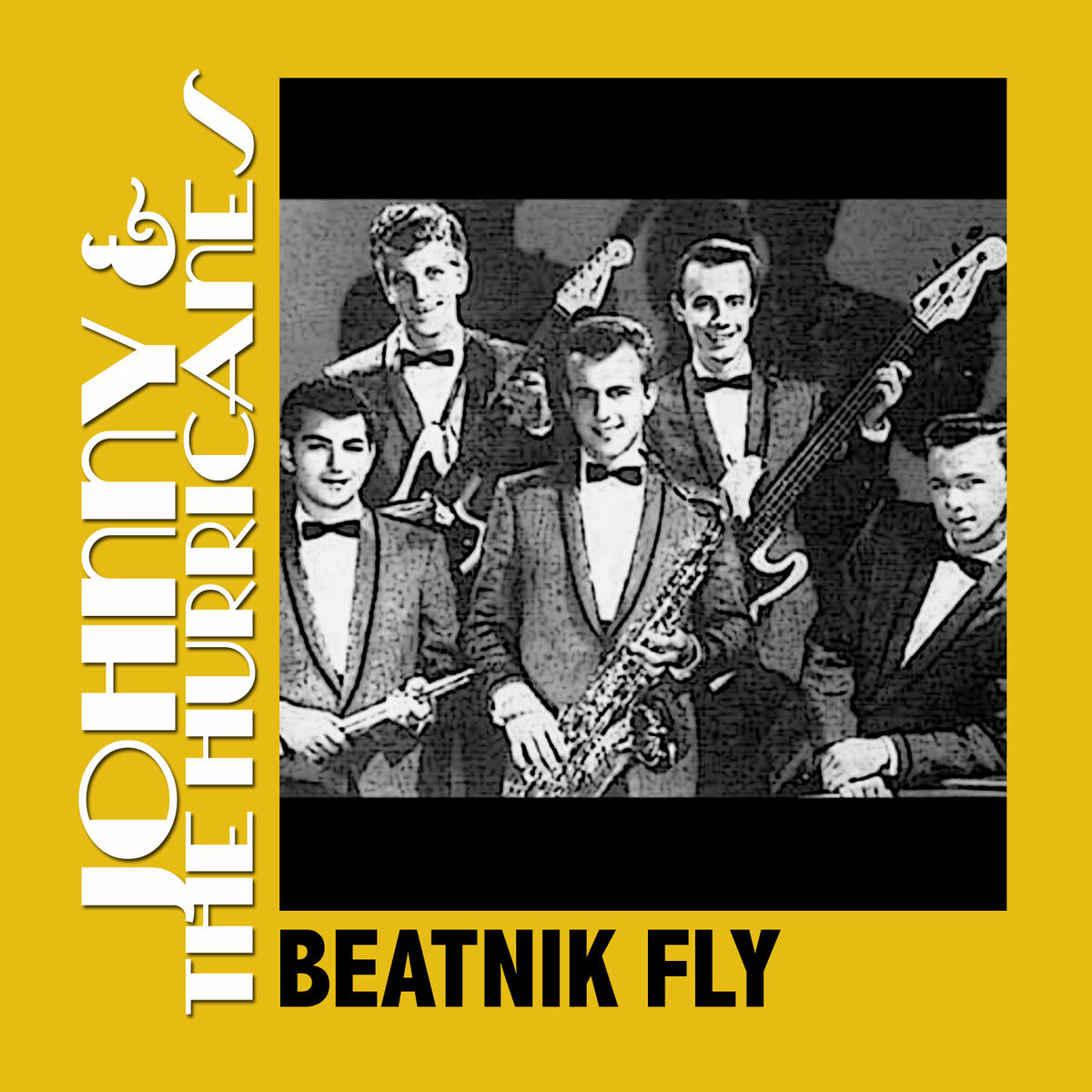 Album cover of Beatnik Fly