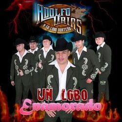 Cover of Un Lobo Enamorado (Edited) (Norteño)