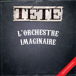 Cover of L'orchestre imaginaire (Instrumentals)