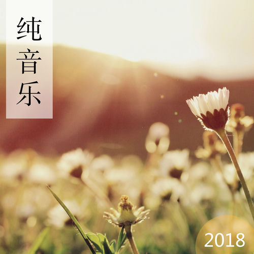 纯音乐 2018 - 最好听的安静音乐为了睡觉,冥想,瑜伽和按摩