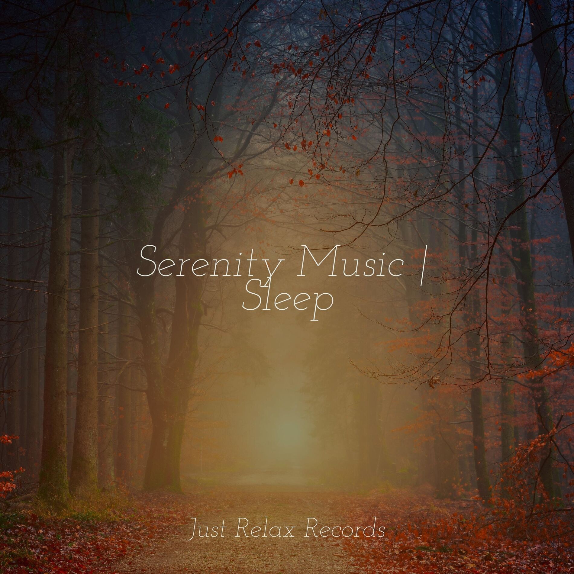 Album cover of Serenity Music | Sleep