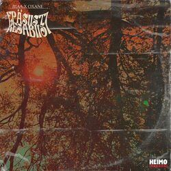 Cover of Epäsiisti kesäbiisi