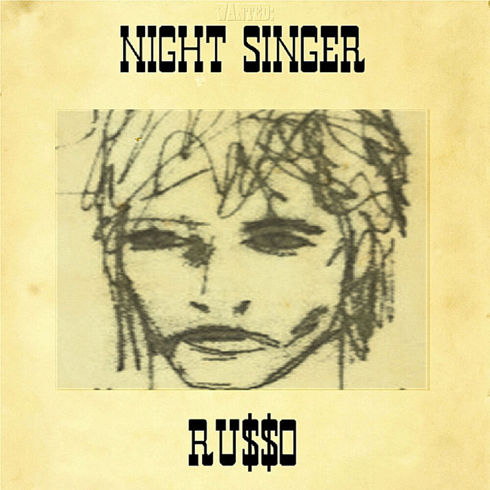 Picture of Night Singer