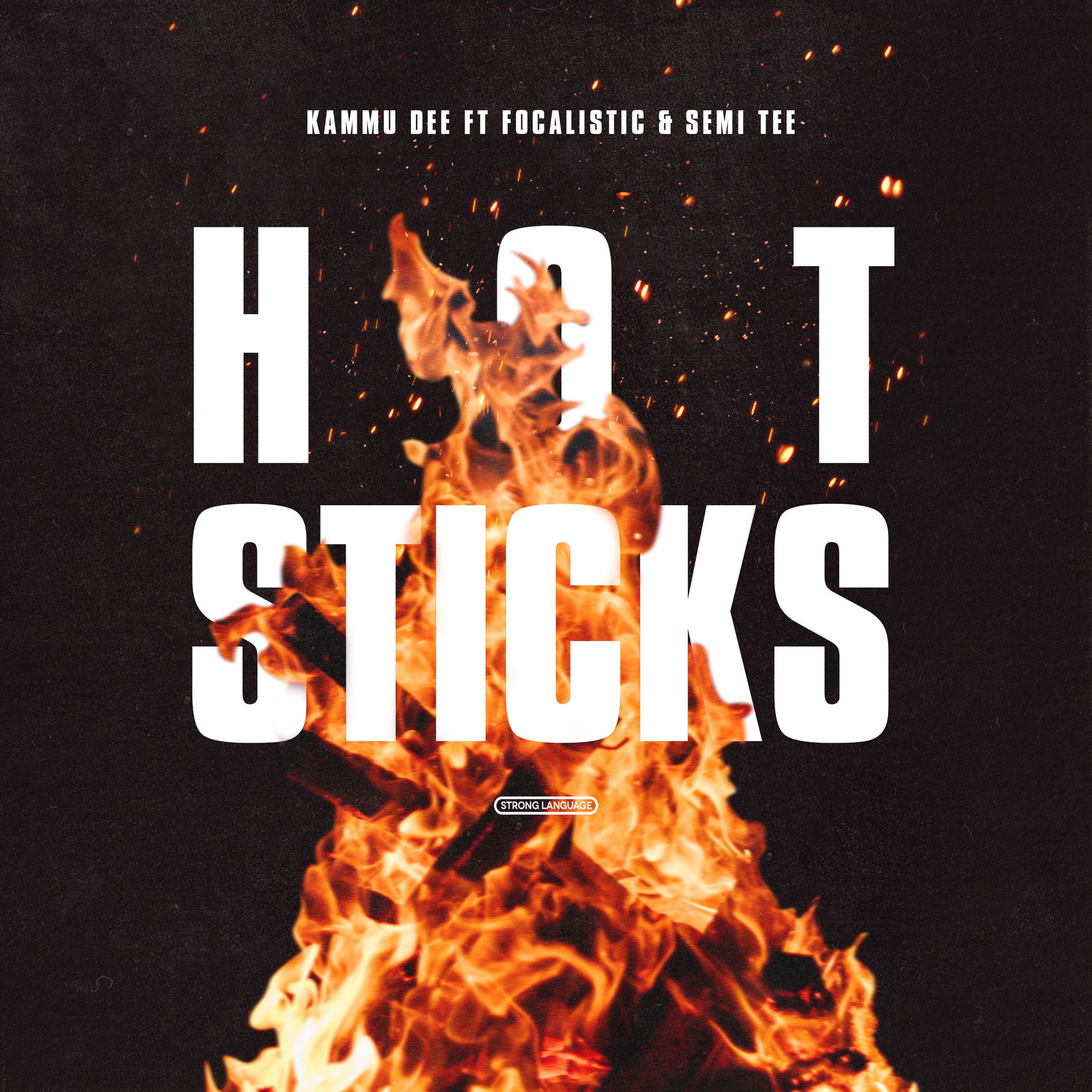 Album cover of hotsticks