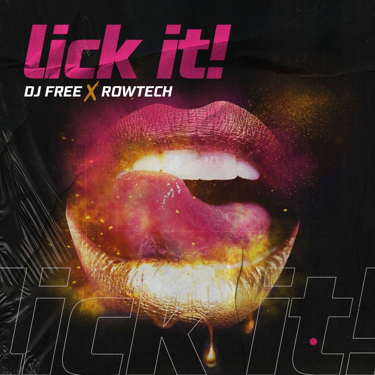 Album cover of Lick It