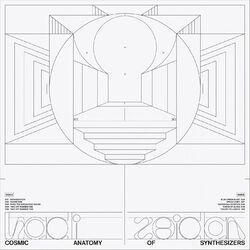 Cosmic Anatomy of Synthesizers