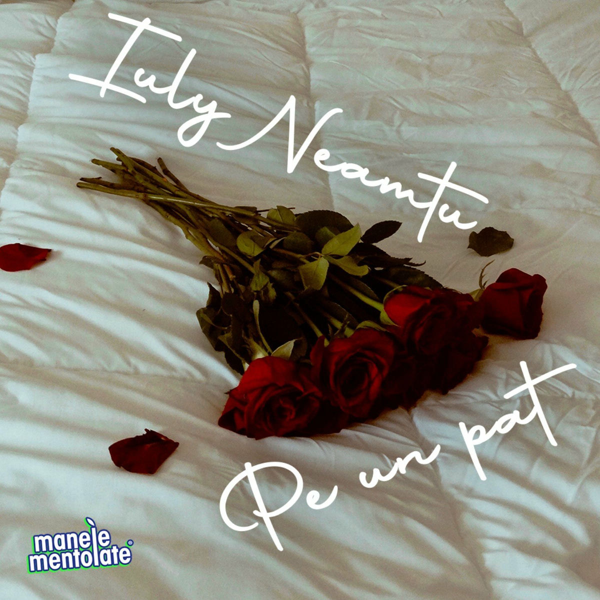 Album cover of Pe un pat