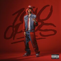 Cover of 100 OPPS