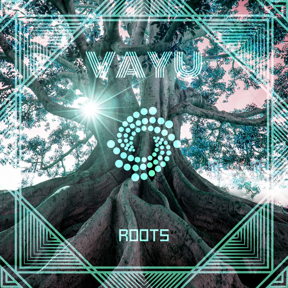 Picture of Roots