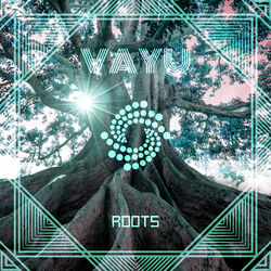 Cover of Roots