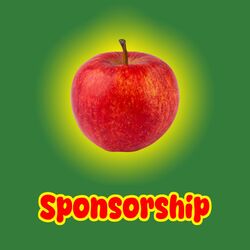 Cover of SPONSORSHIP
