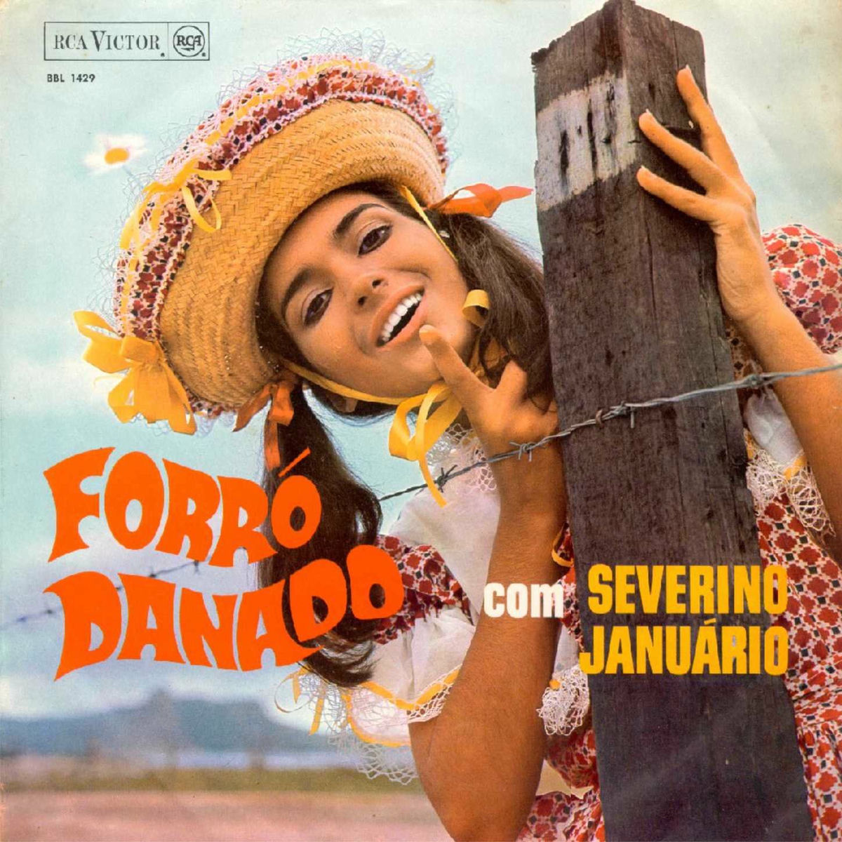 Album cover of Forró danado