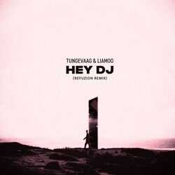 Cover of Hey DJ (Refuzion Remix)