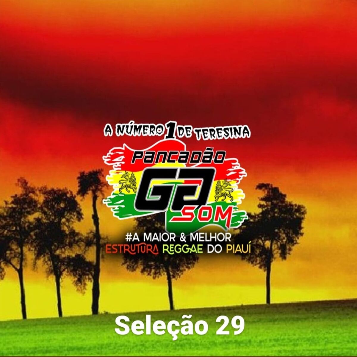 Album cover of Seleção 29