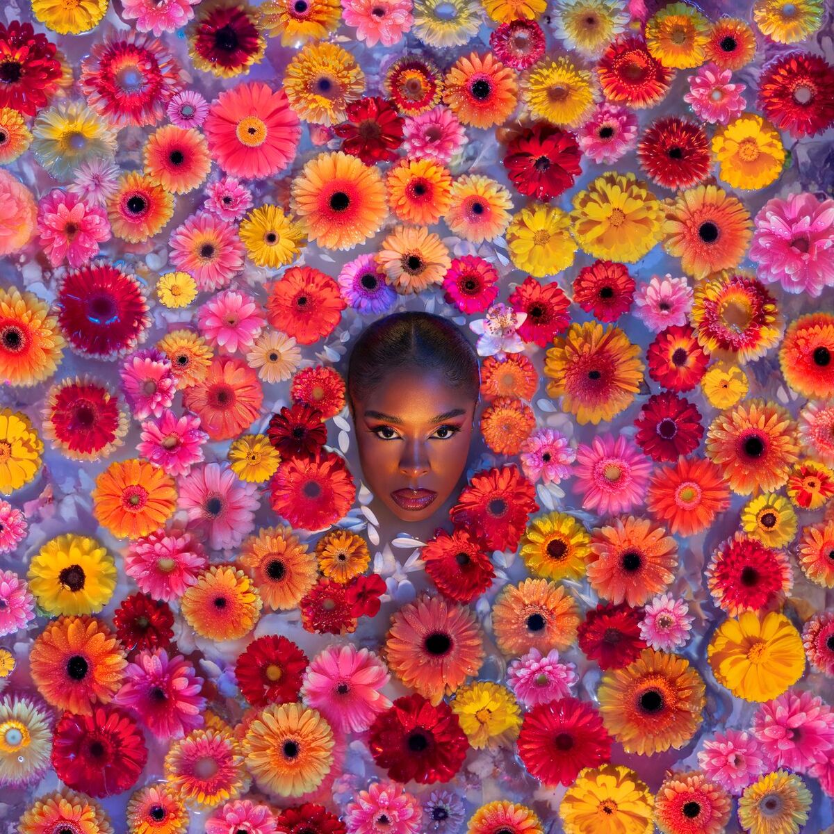 Album cover of MUSE