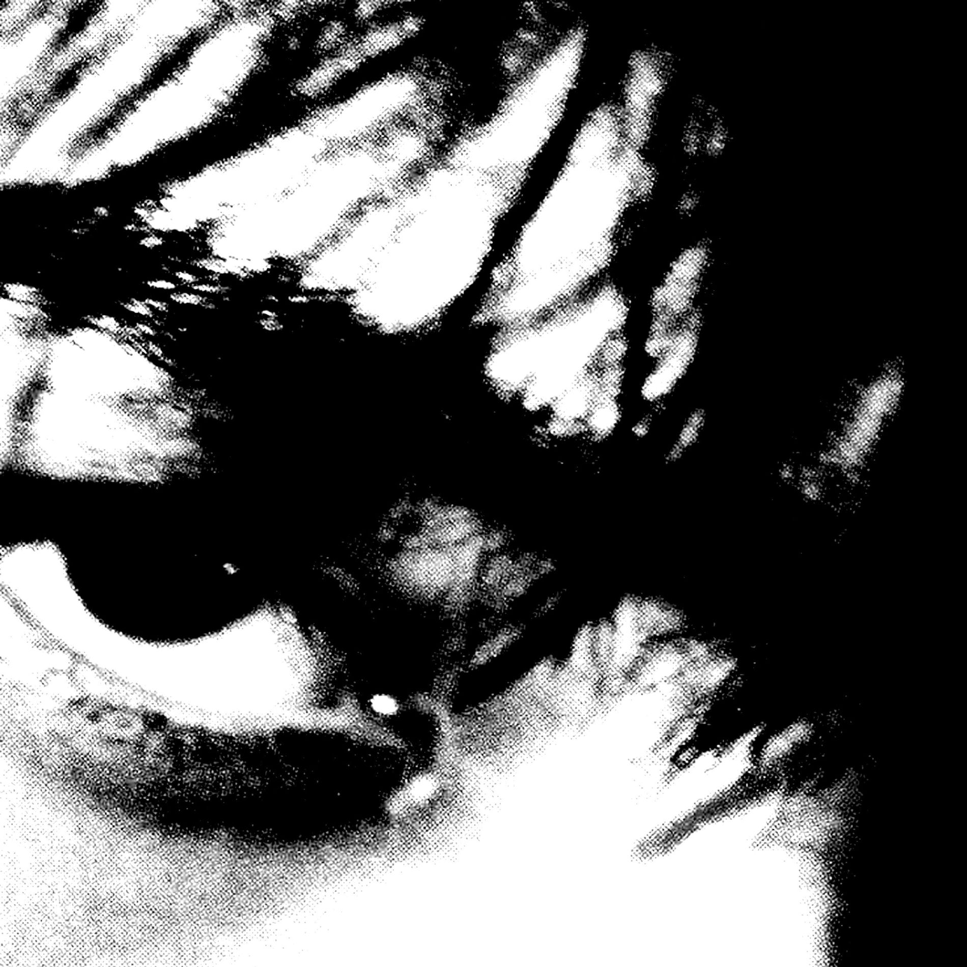 Album cover of Blue (Da Ba Dee)