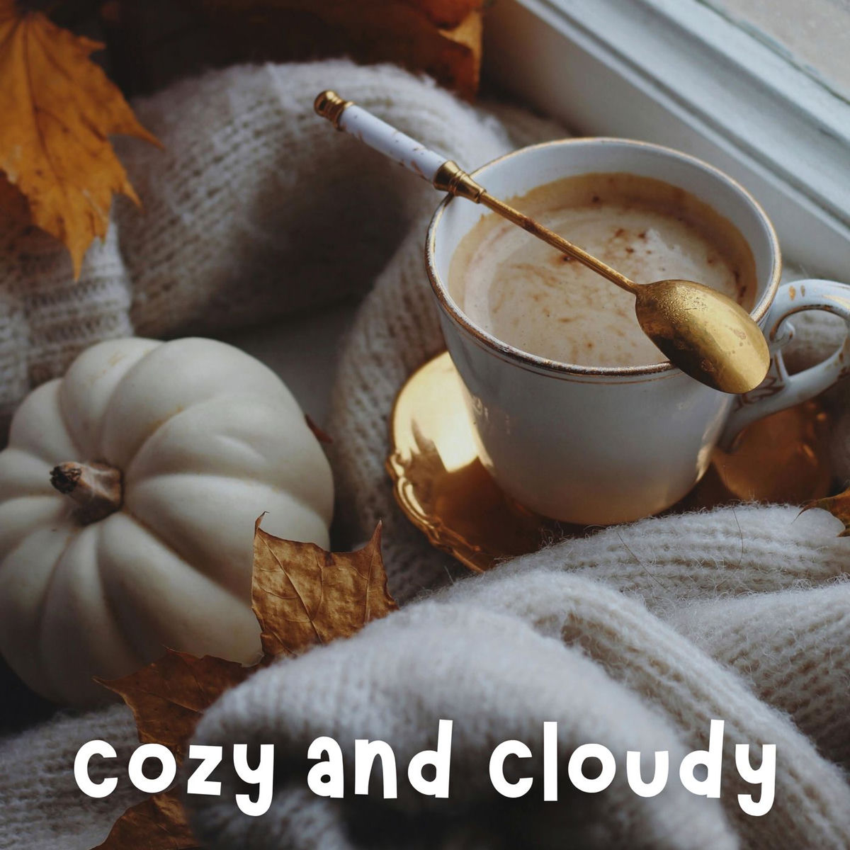 Album cover of Cozy and Cloudy