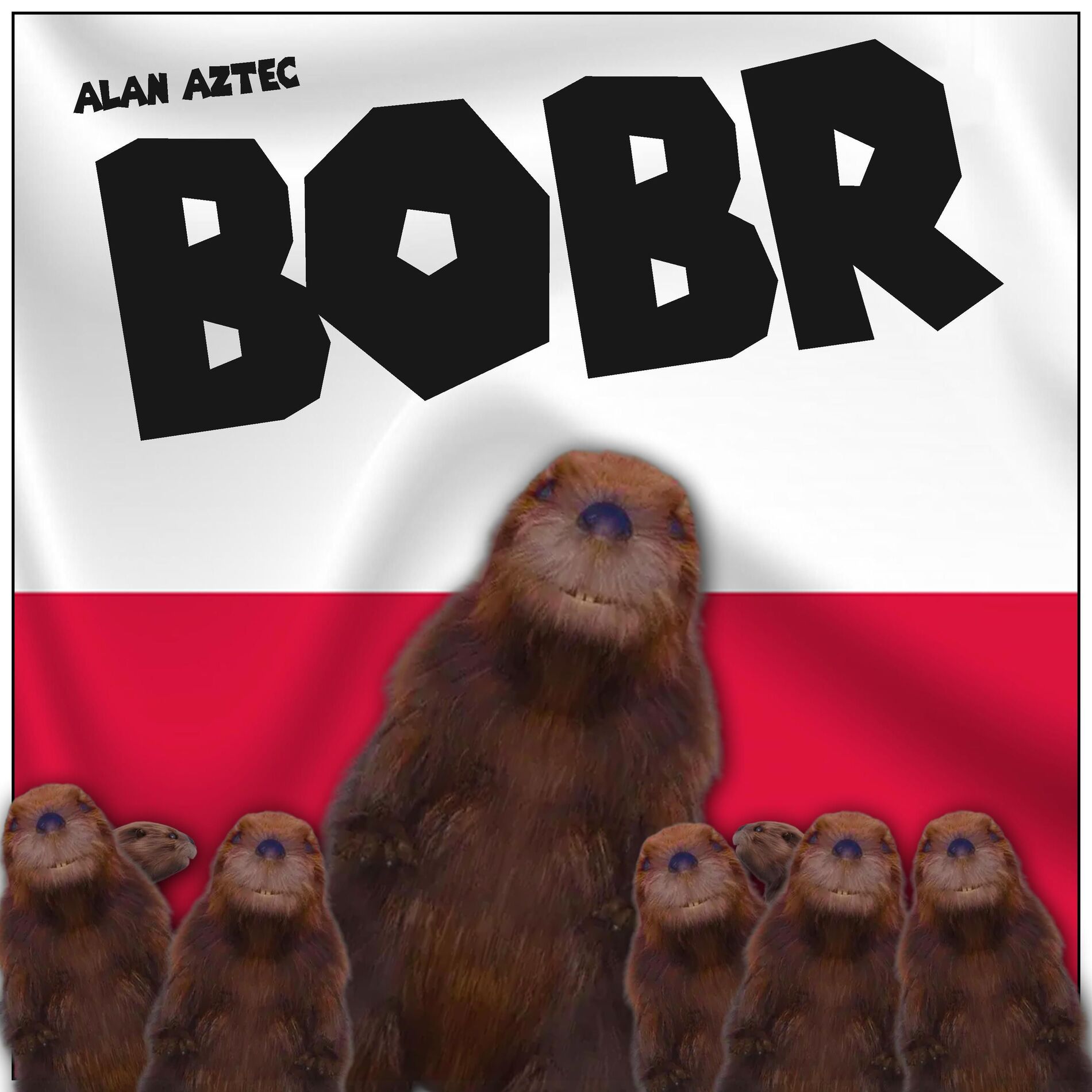 Album cover of BOBR