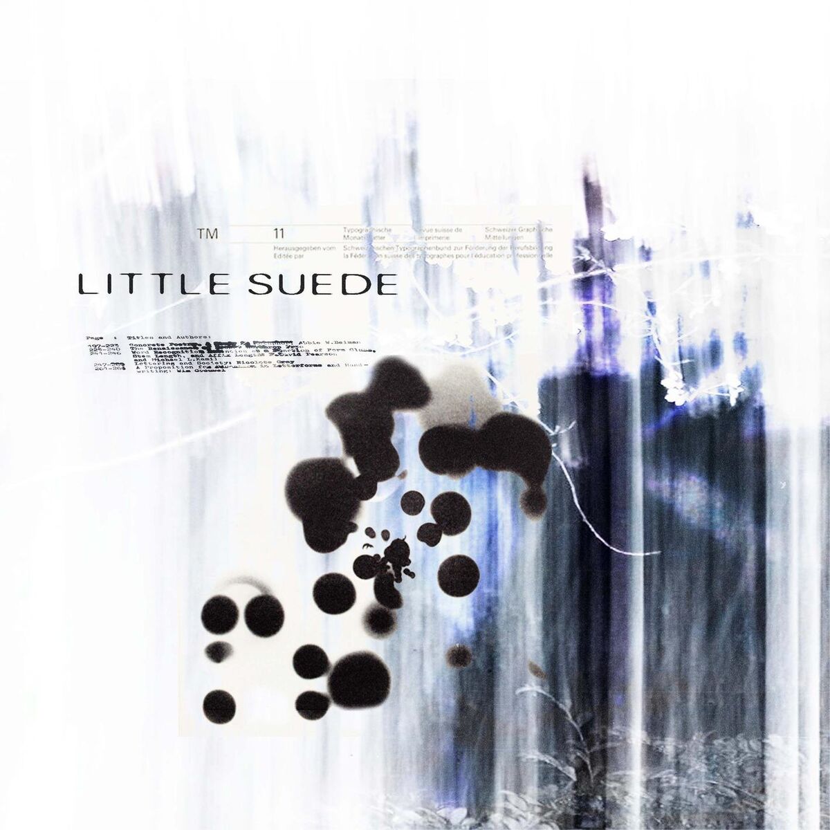 Album cover of Little Suede