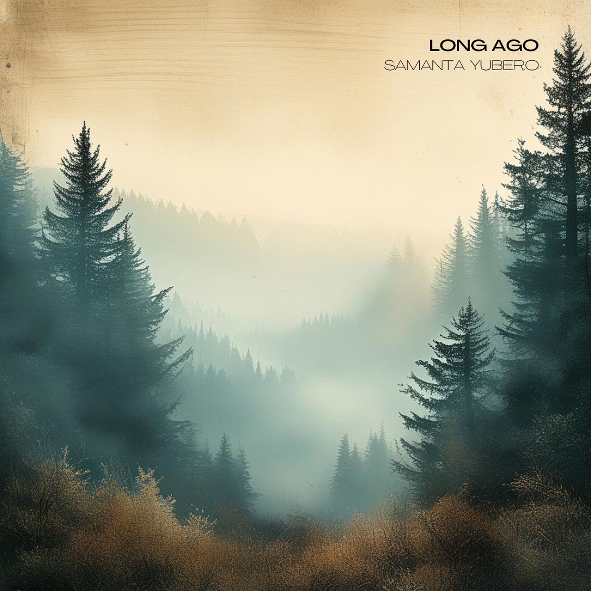 Album cover of Long Ago
