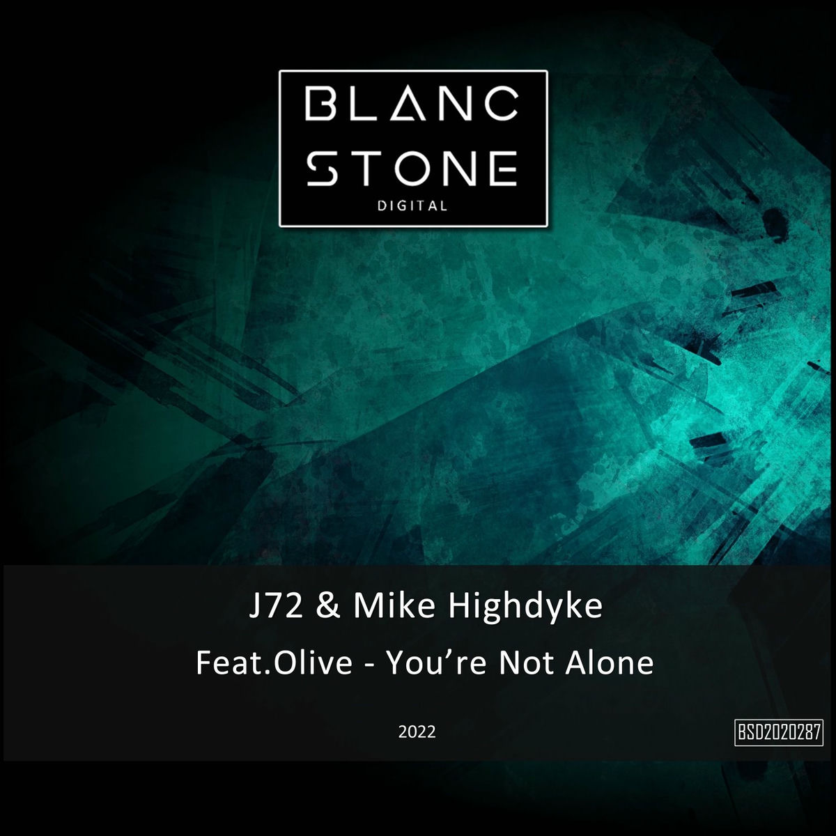 Album cover of You're Not Alone