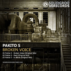 Cover of Broken Voice