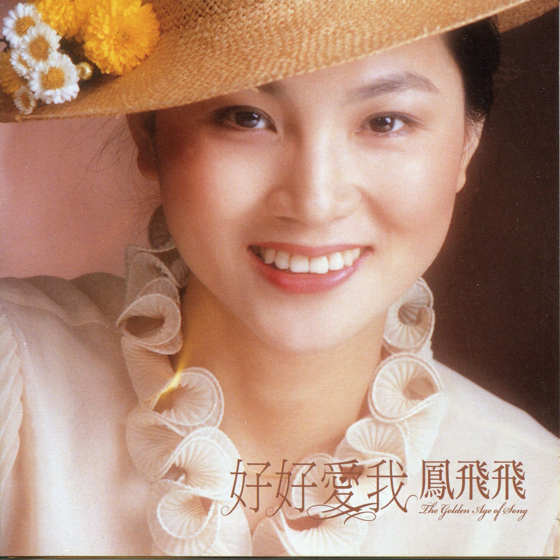 Album cover of 好好愛我 (2009年Remix版)