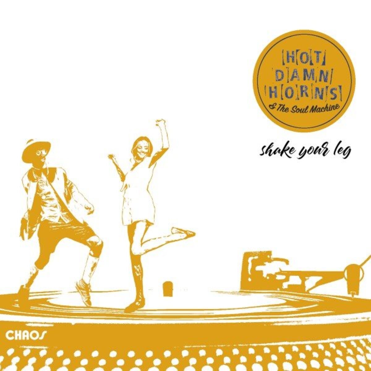 Album cover of Shake Your Leg