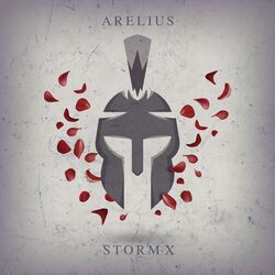 Cover of The Storm X