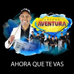 Cover of Ahora Que Te Vas