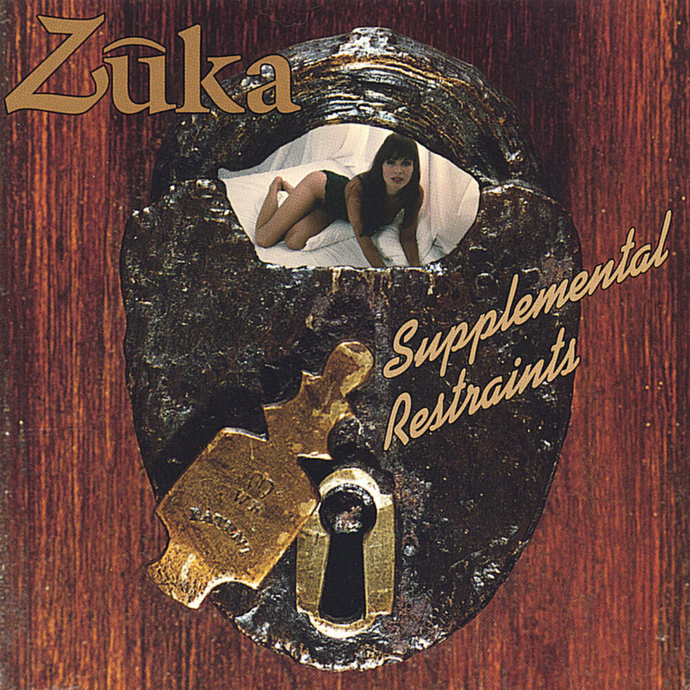 Picture of Supplemental Restraints