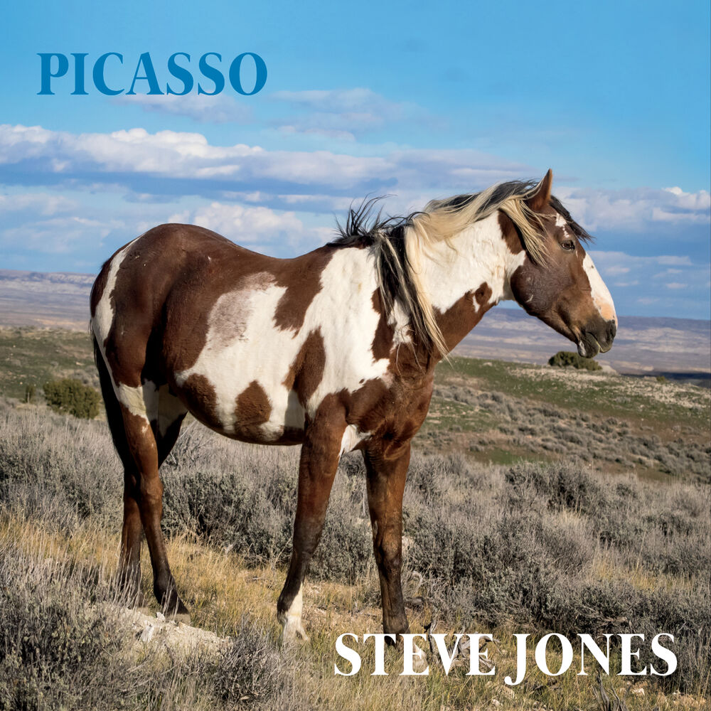 Picture of Picasso
