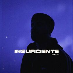 Cover of Insuficiente