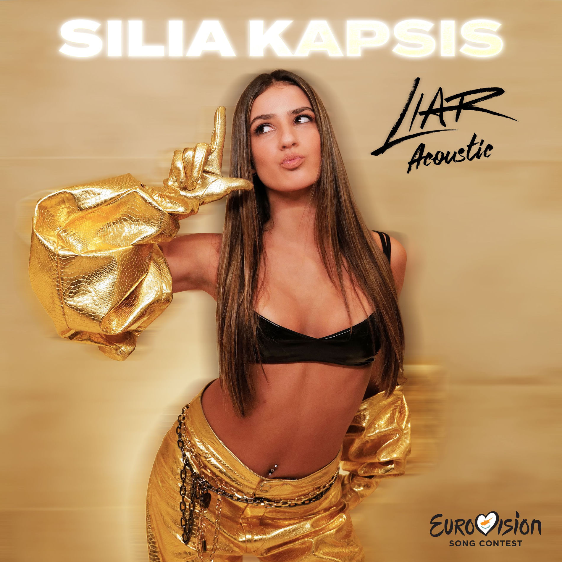 Album cover of Liar
