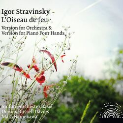 Cover of Stravinsky: The Firebird