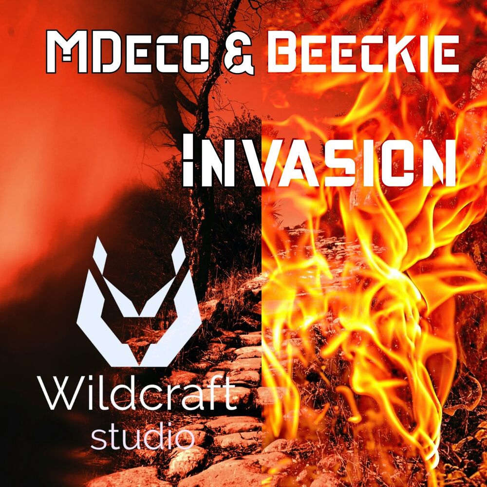 Picture of Invasion