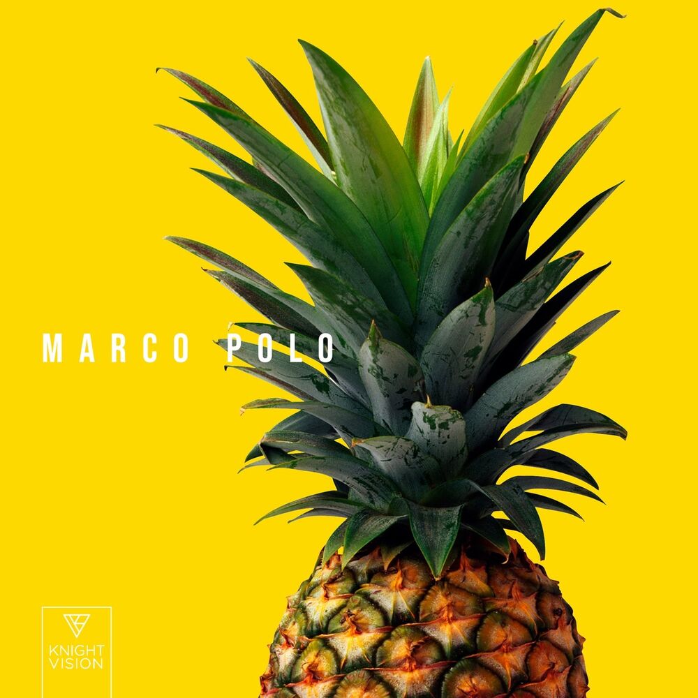 Picture of Marco Polo