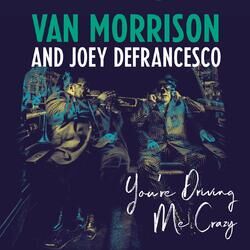 Cover of You're Driving Me Crazy