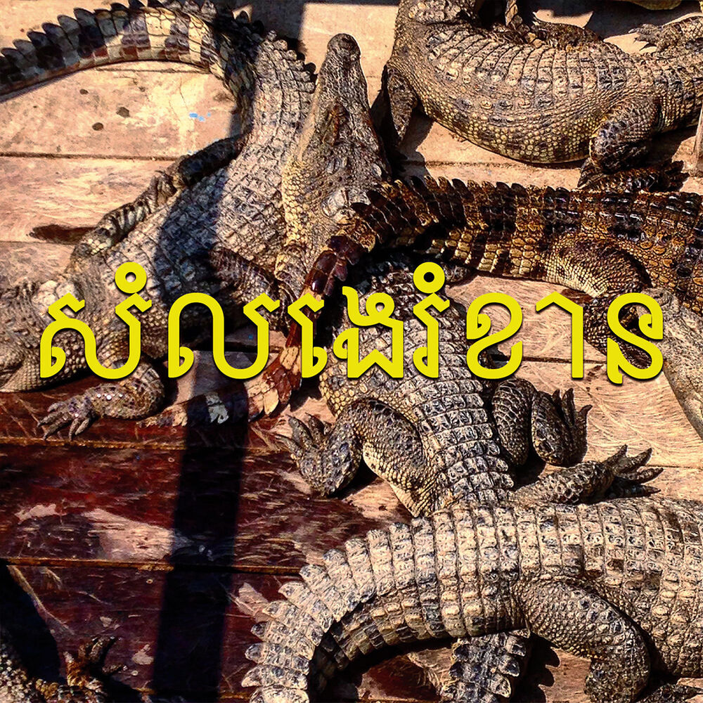 Picture of SE Asian Noise(s)