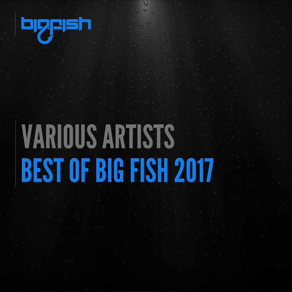 Picture of Best of Big Fish 2017