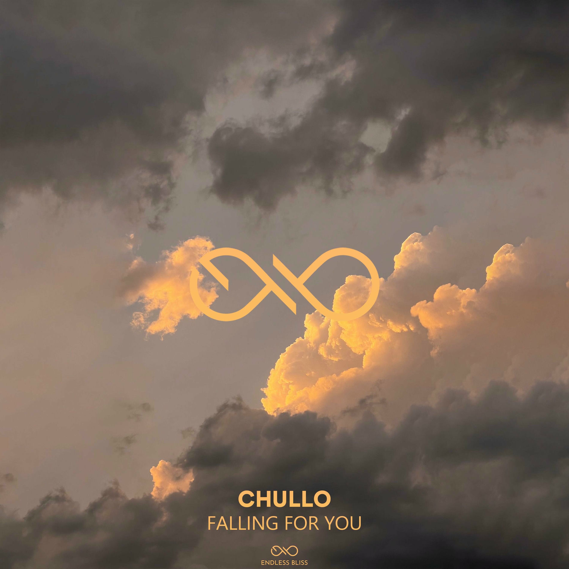 Album cover of Falling For You