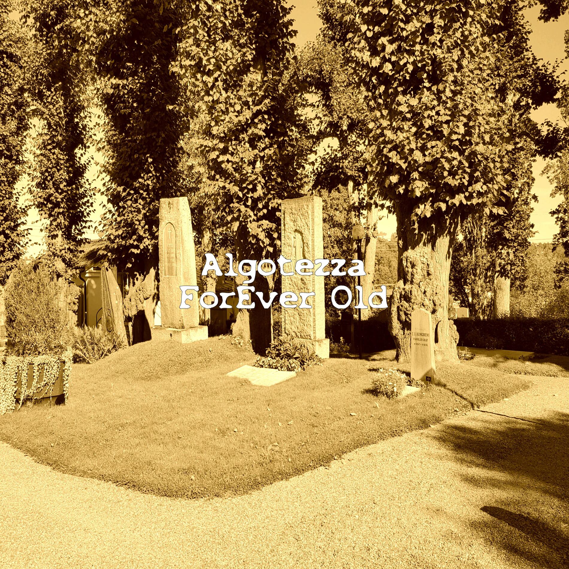 Album cover of For Ever Old
