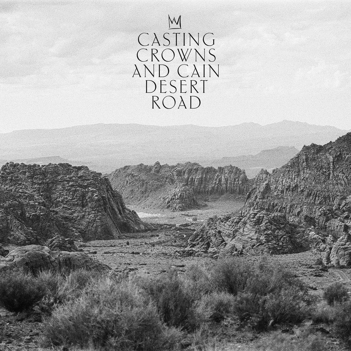 Album cover of Desert Road