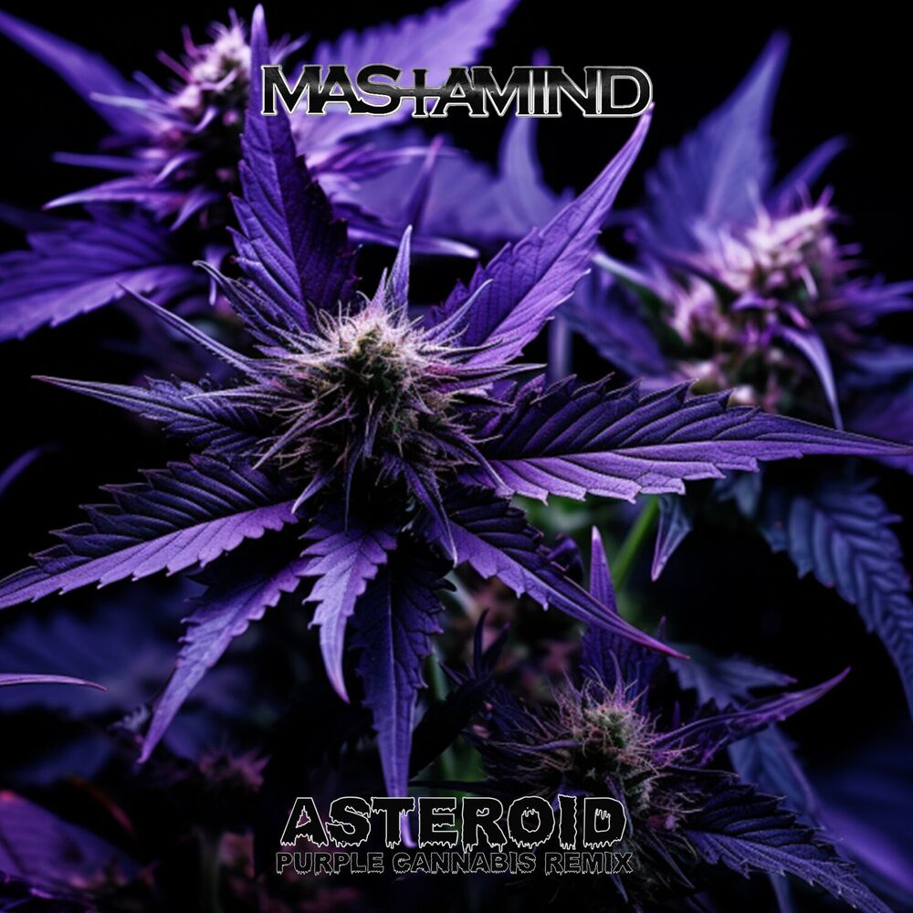 Picture of Asteroid (Purple Cannabis Remix)