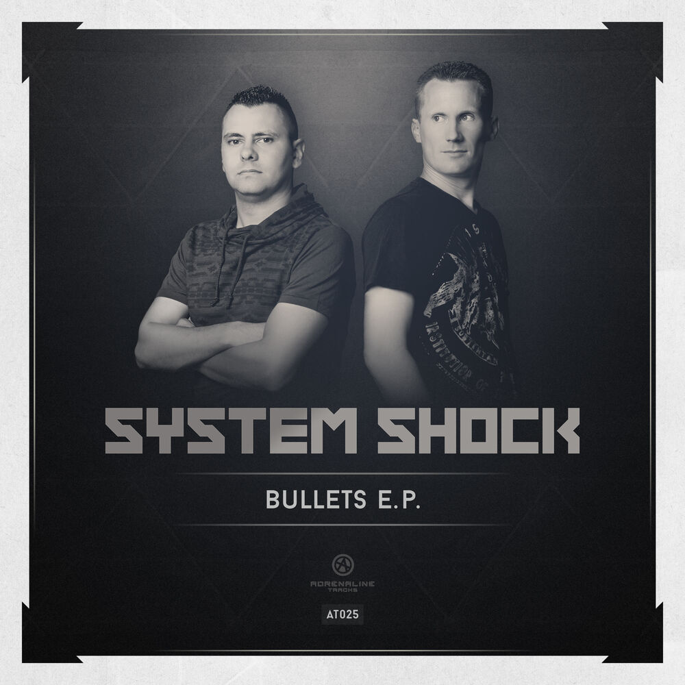 Picture of Bullets
