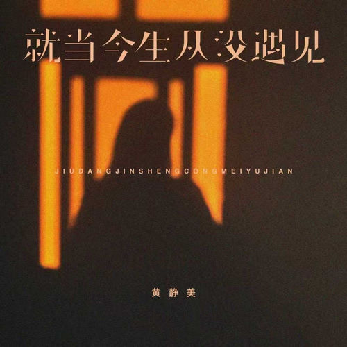 就当今生从没遇见
