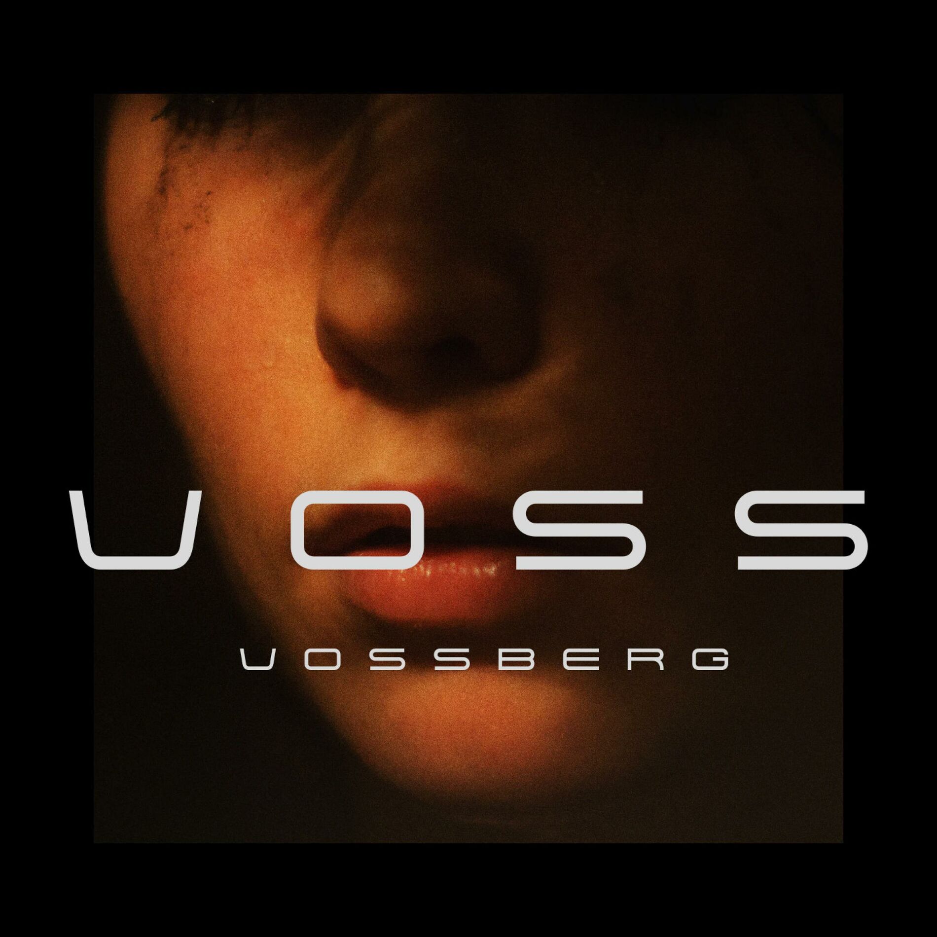Album cover of VOSS