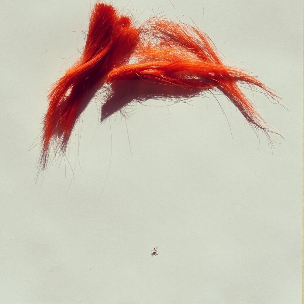 Picture of All This Life Going Down